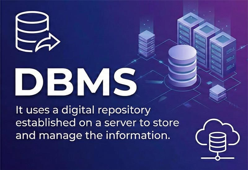 DBMS
