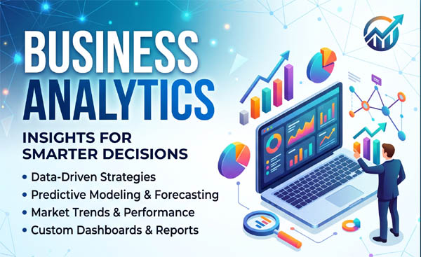 Business Analyst
